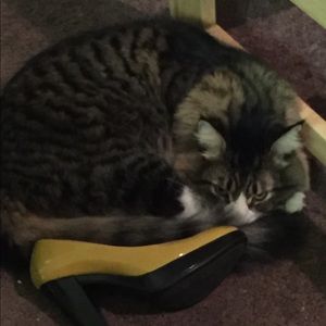 Meet your Posher, Linnea